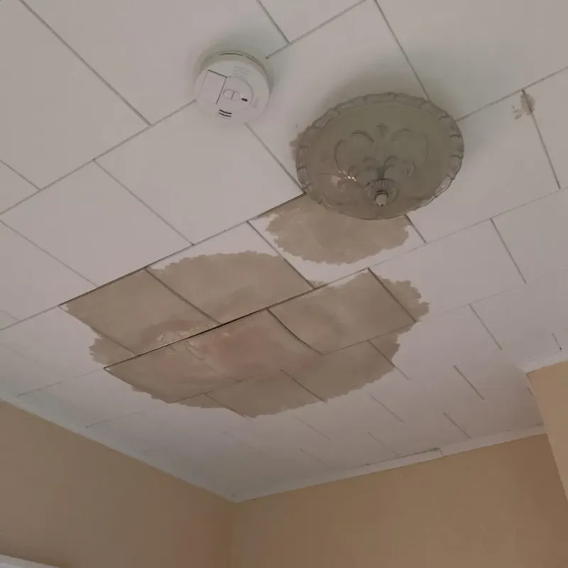 Ceiling Water Damage Repair in Stewartville, MN