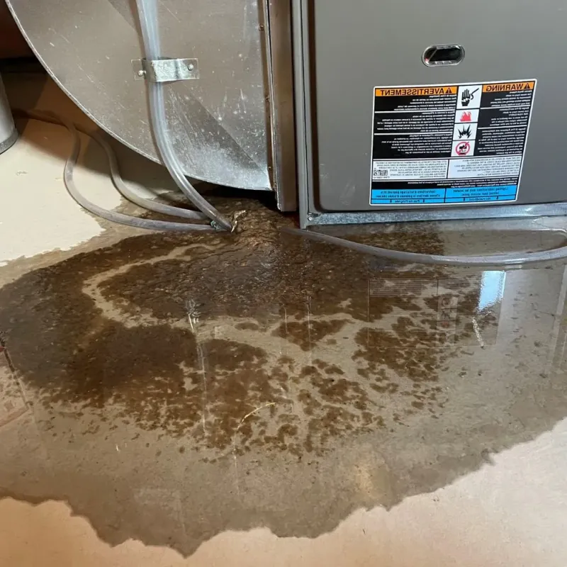 Pipe Burst and Leak Restoration in Stewartville, MN